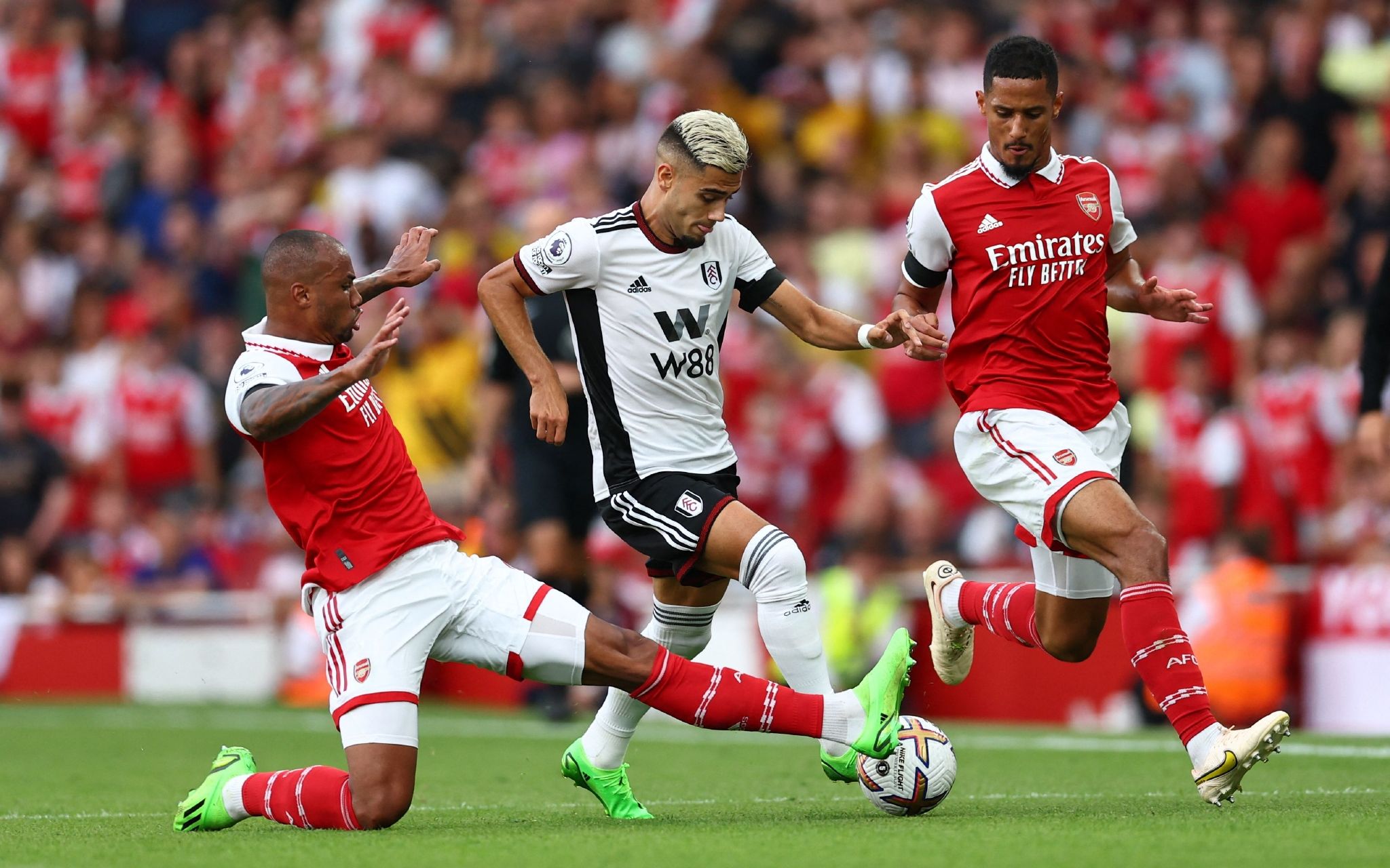 着重提到了 着重提到了